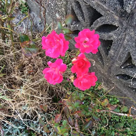 Bed and breakfast Monastery View Bunacurry
