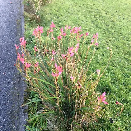 Monastery View Bunacurry