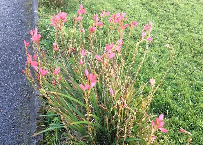 Monastery View Bunacurry